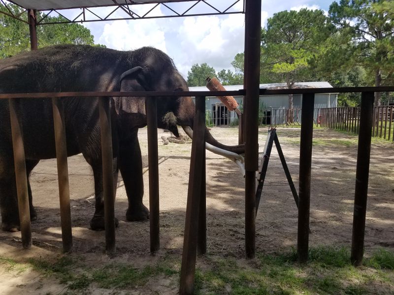 Reservation System That Requires Planning Ahead