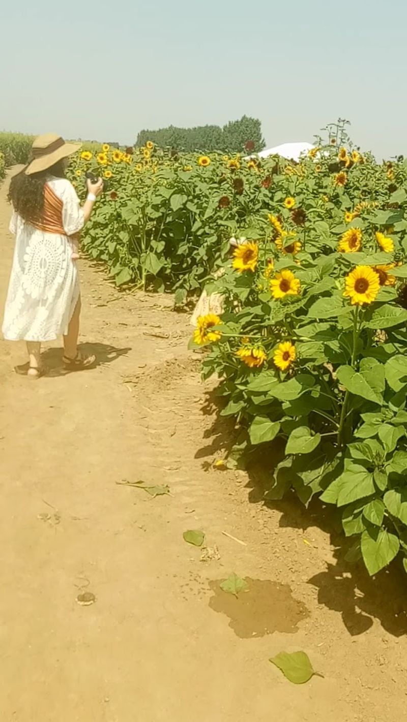 Photo Opportunities That Go Beyond the Standard Flower Selfie Photo Opportunities That Go Beyond the Standard Flower Selfie