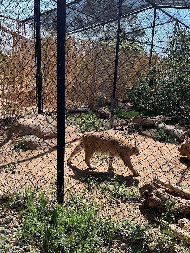 Admission Pricing And What It Covers