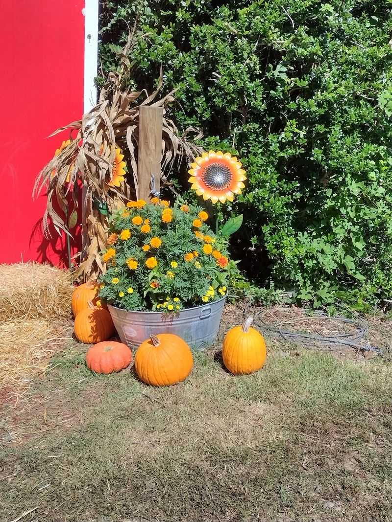 Photo-Worthy Autumn Scenes Fill The Grounds