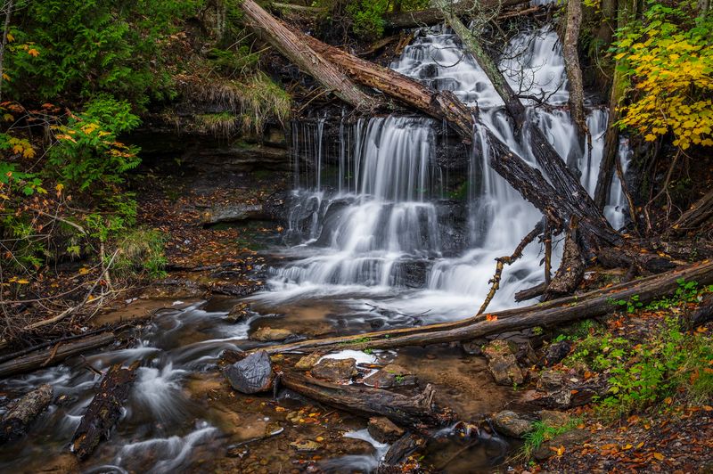 Seasonal Small Wonders