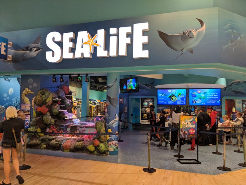 Mind The Mall Context