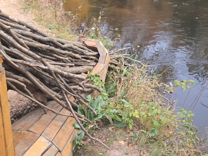 Kayak And Canoe Perspectives