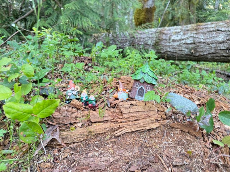 Photographing The Gnomes Like A Pro