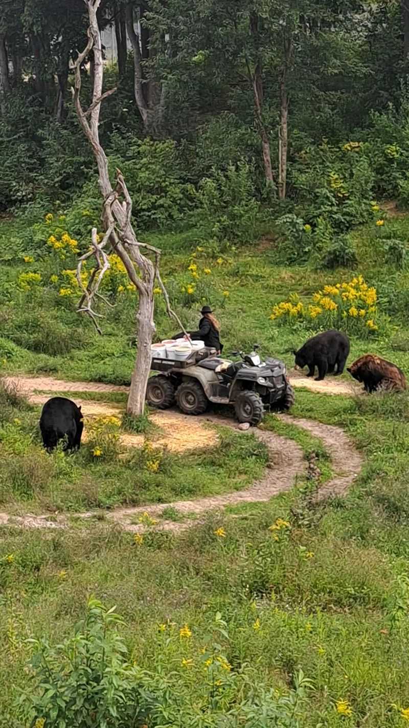 Walking The Layout Without Rushing