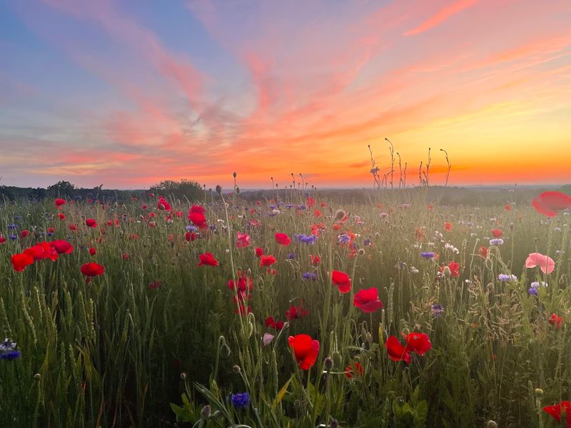 Photography Heaven: Props, Changing Rooms, And Golden Hour Light
