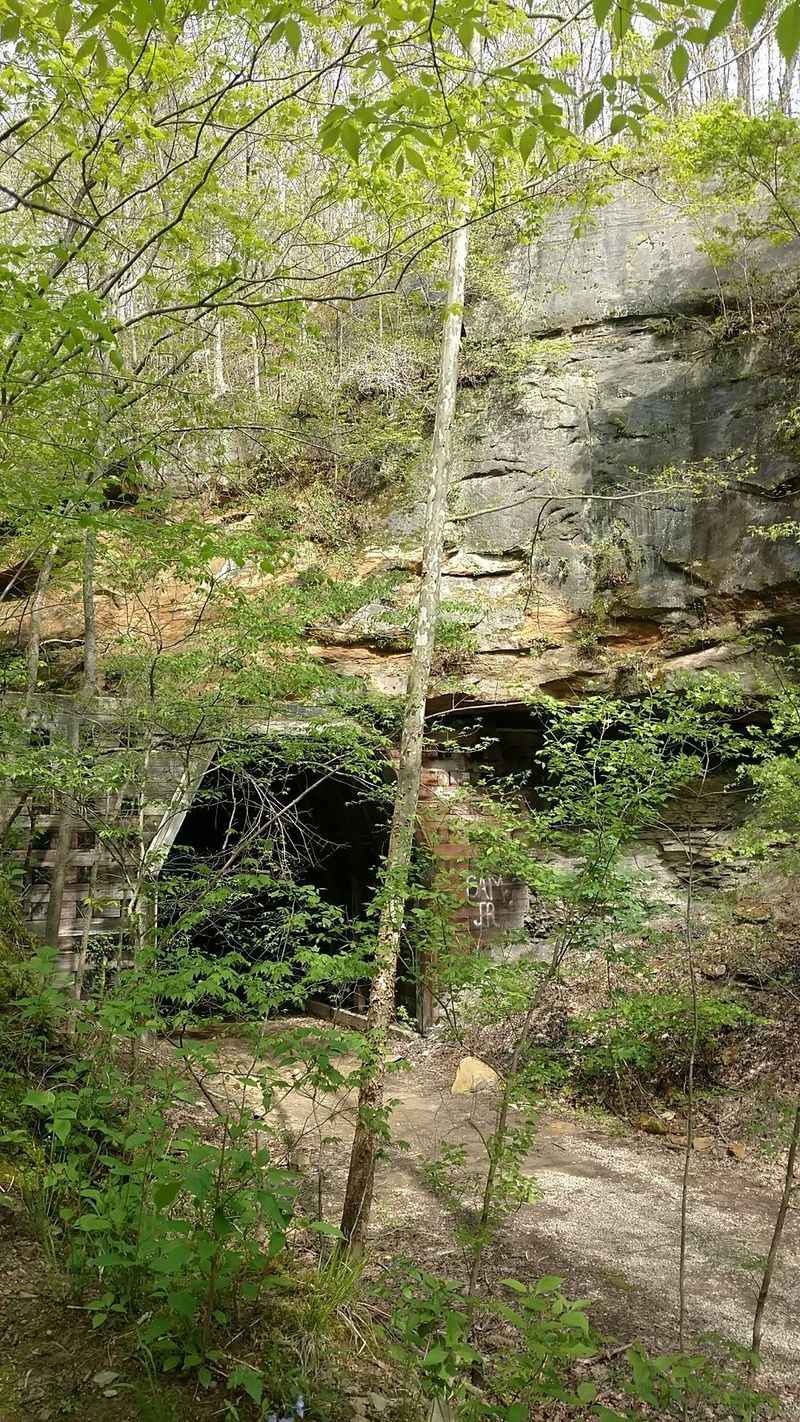 What To Bring, What To Leave