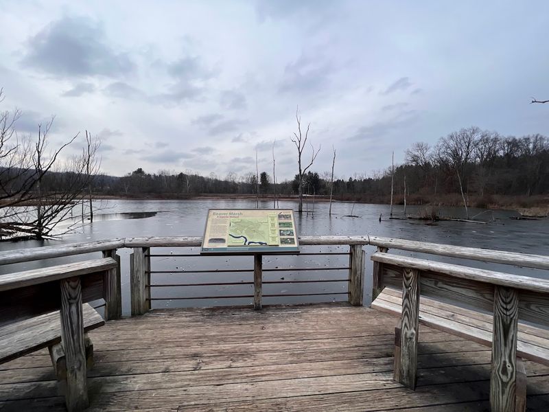 What to Bring and How to Prepare