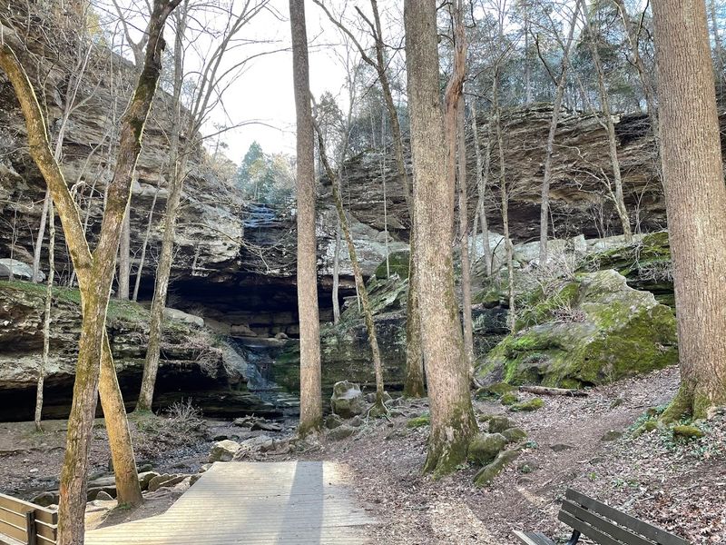 Practical Amenities That Make The Visit Comfortable