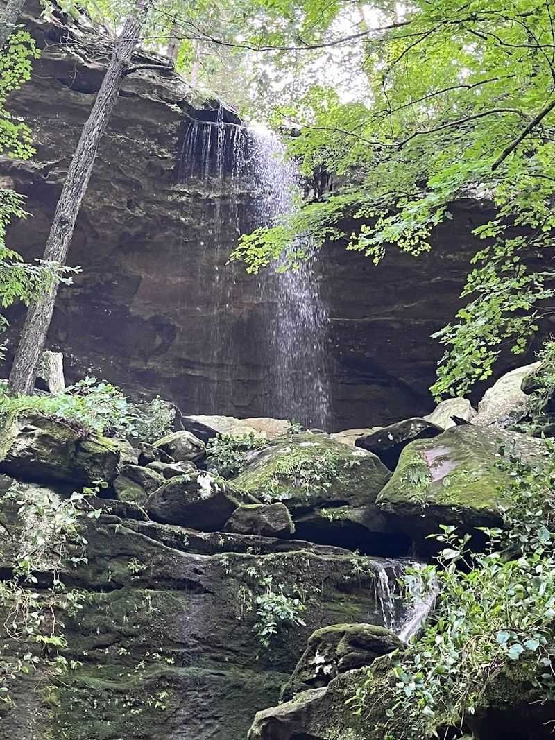 Why This Trail Stands Out In Illinois