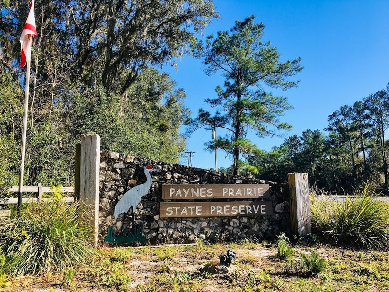 A Short Drive From Gainesville Makes It Surprisingly Easy To Visit