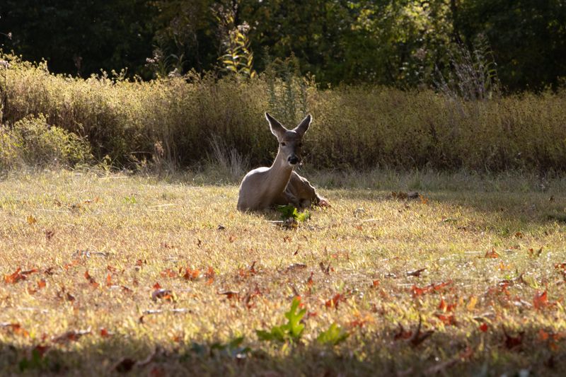 Peaceful Spots for Contemplation