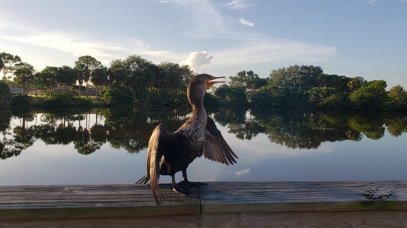 Educational Value For All Ages