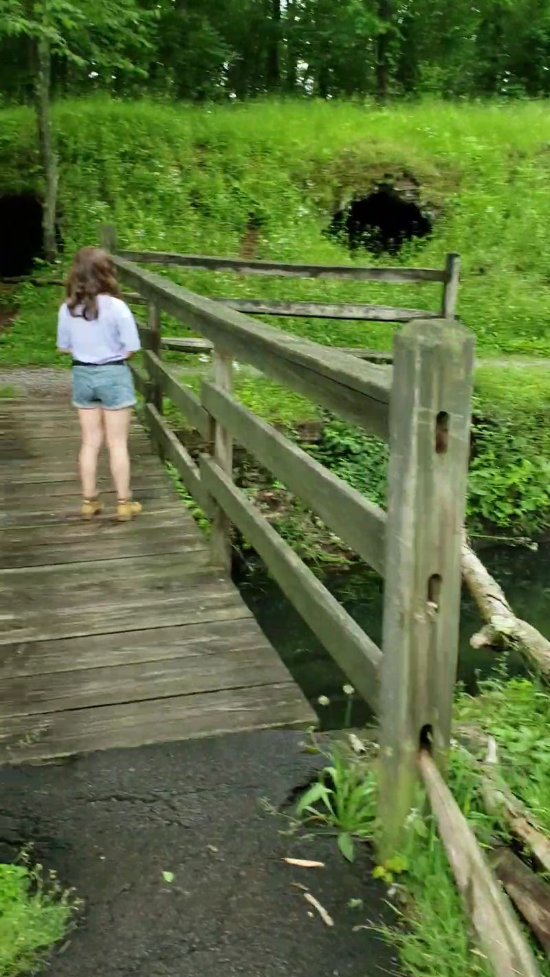 Educational Value Hidden in Plain Sight