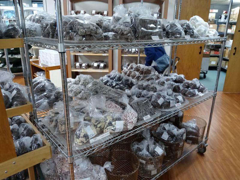 Kid-Friendly Considerations