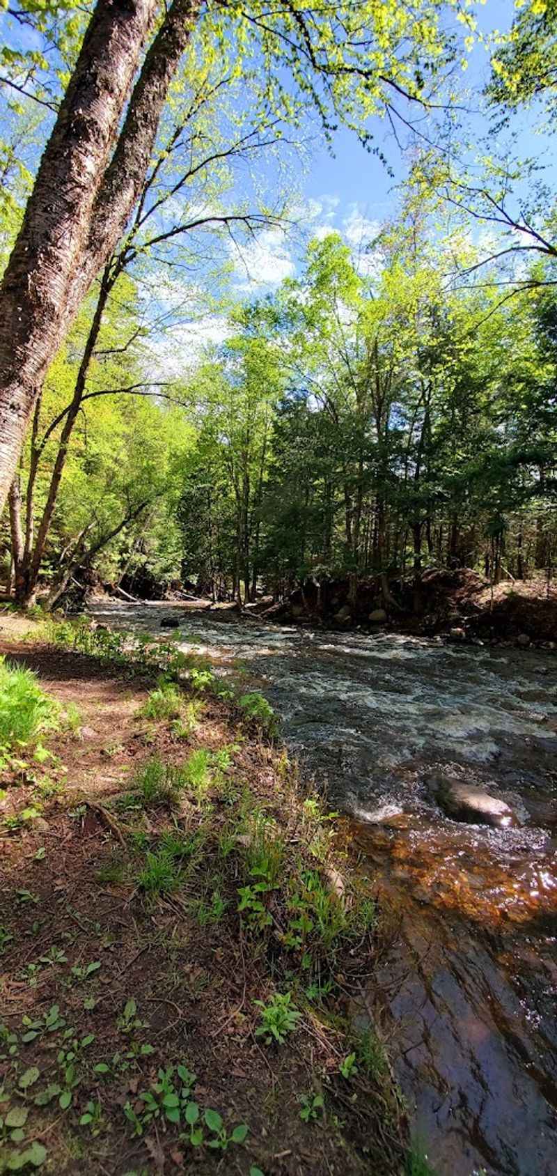 Extending The Walk To Three Miles