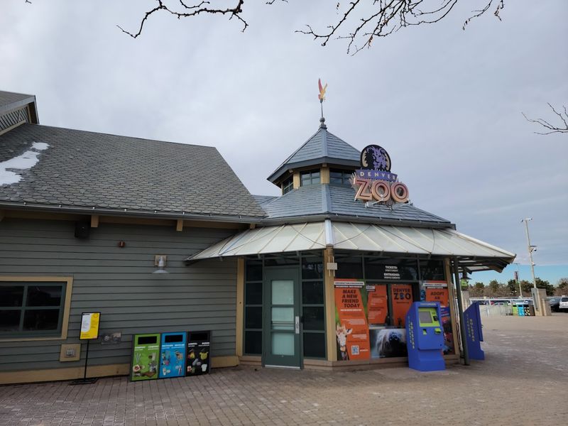 What to Wear and Bring for a Spring Lantern Evening