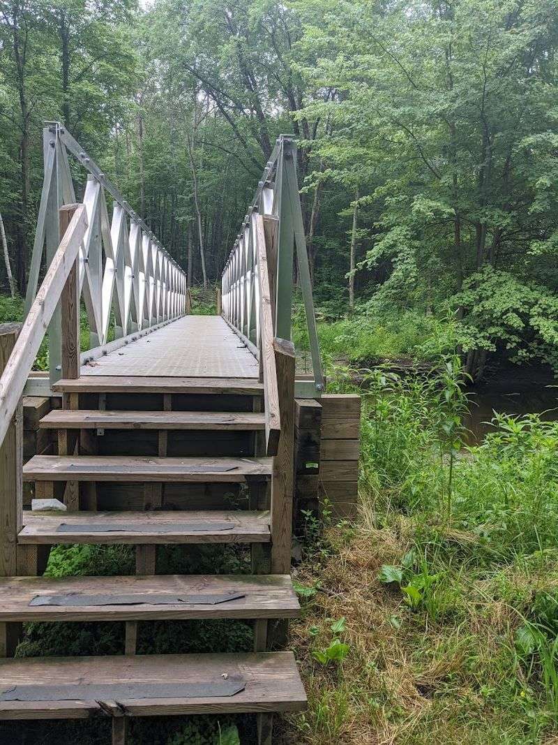 Kids, Accessibility, And Respectful Habits