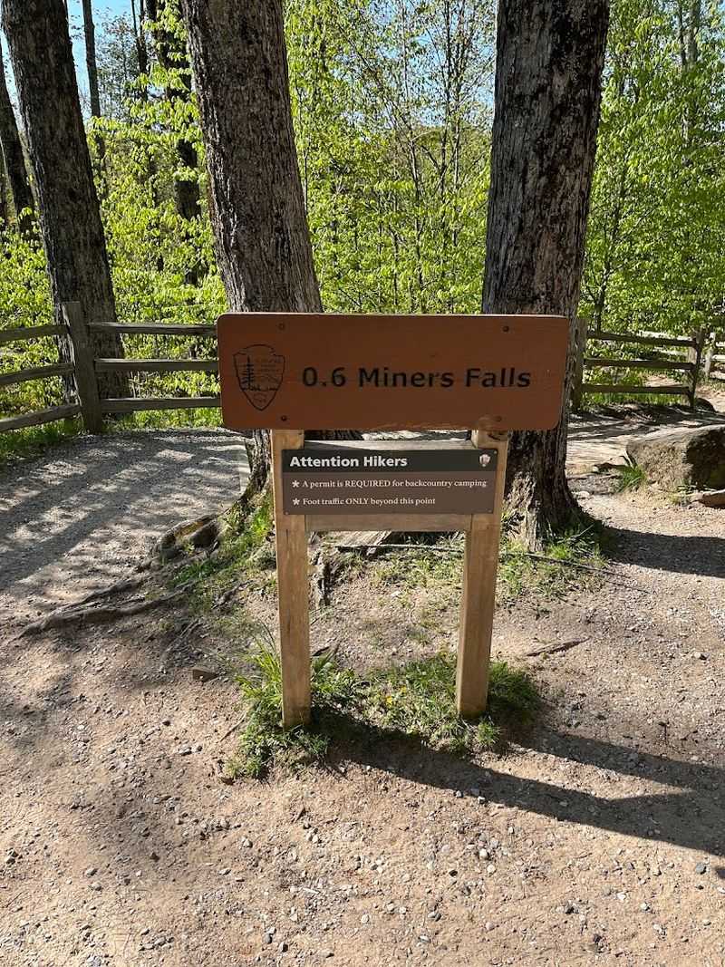 Local Rhythm And Simple Courtesies