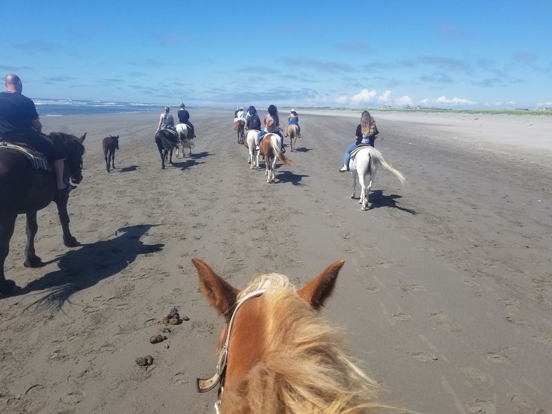 Photos, Whales, And Unexpected Extras