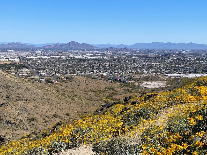 South Mountain Park's Spring Color