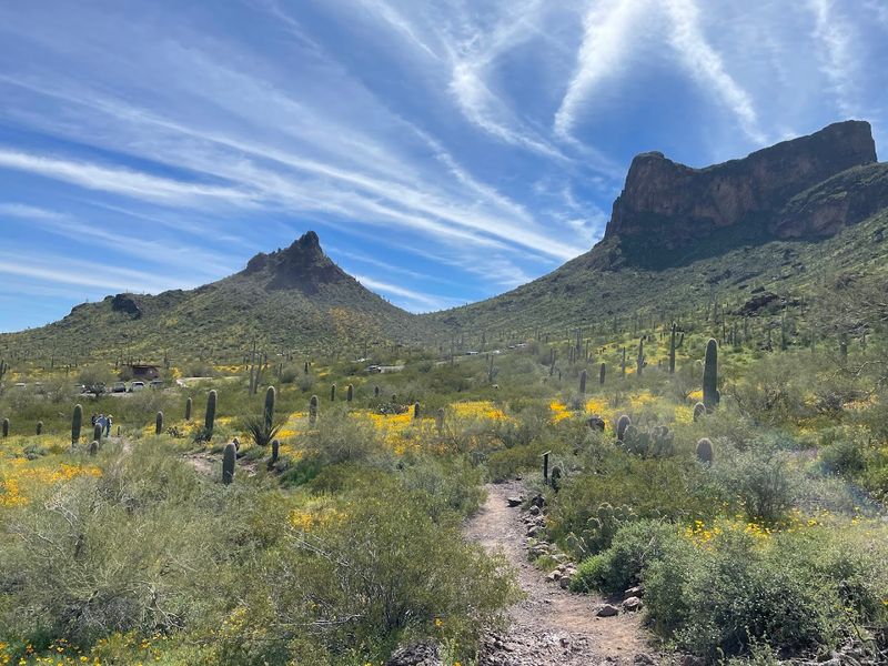 Picacho Peak State Park Campground, Picacho