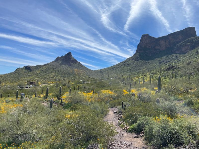 Picacho Peak State Park, Picacho