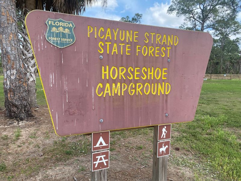 Picayune Strand State Forest Campground, Naples