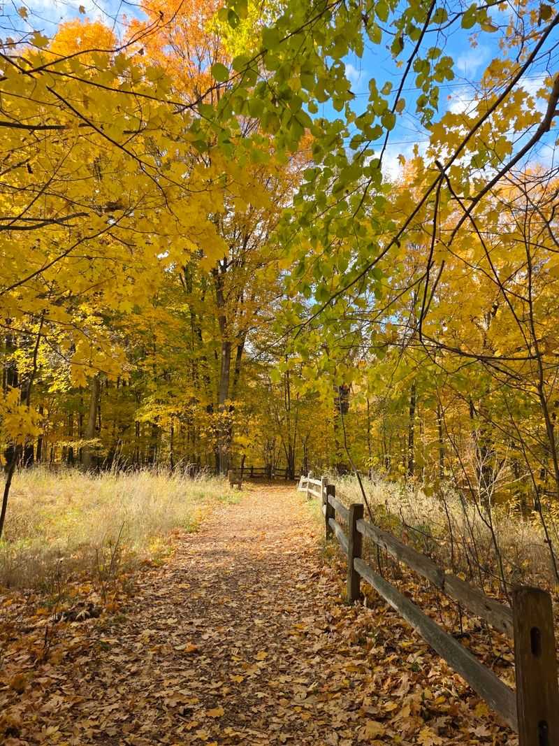 Pick Trails By Mood, Not Mileage