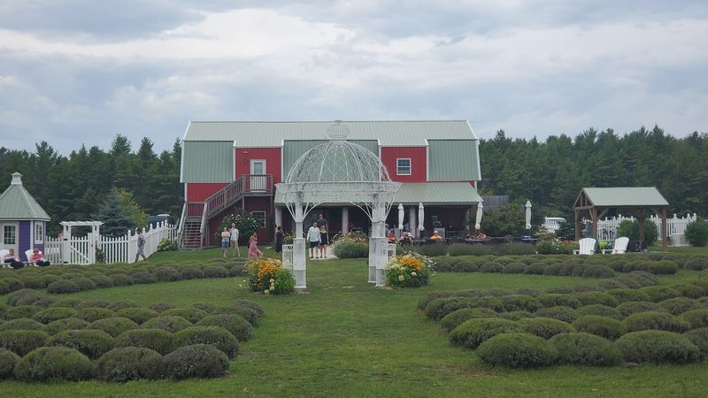 Pick-Your-Own Bundles and a Garden Gazebo