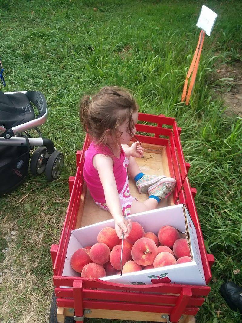 Pick-Your-Own Fun For Every Age
