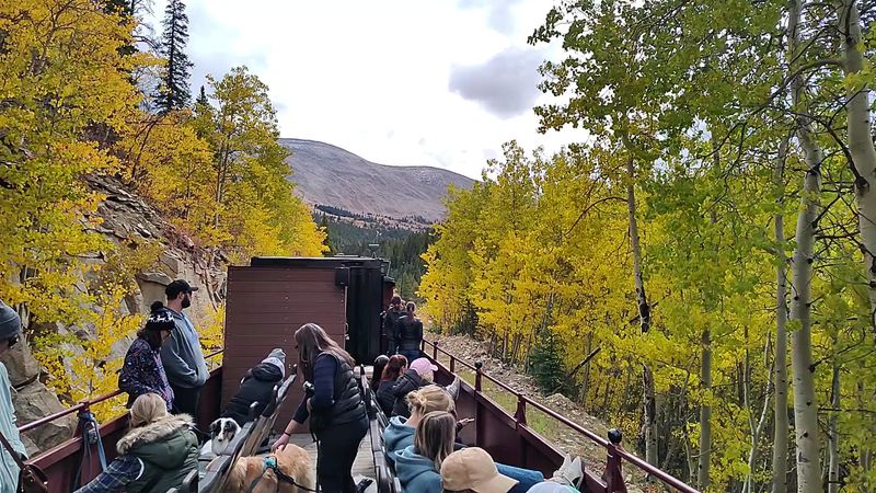Pick Your Perch, From Breezy Open Cars To Cozy Booths