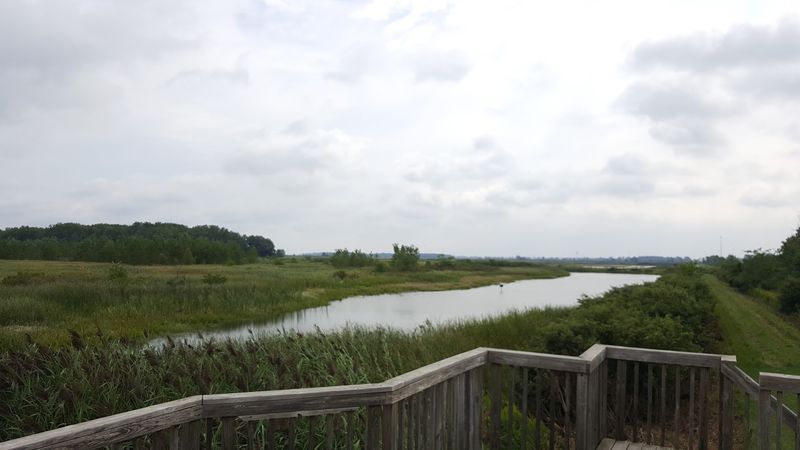 Pickerel Creek Wildlife Area, Vickery