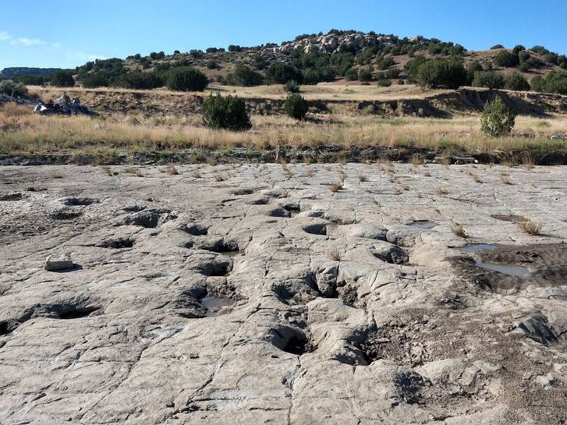 Picket Wire Canyonlands Guided Auto Tour - La Junta