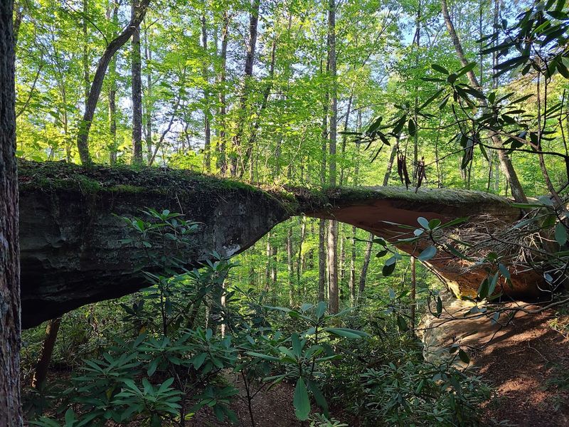Pickett CCC Memorial State Park