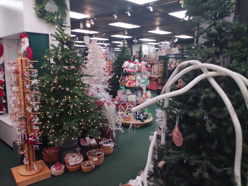 Picking Just One Tree Might Be Your Hardest Decision