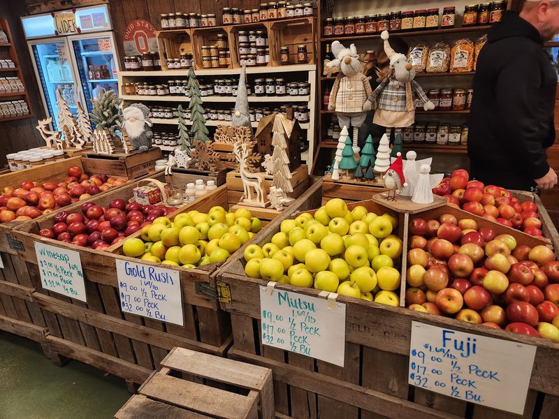 Picking Your Own In The Orchard Rows