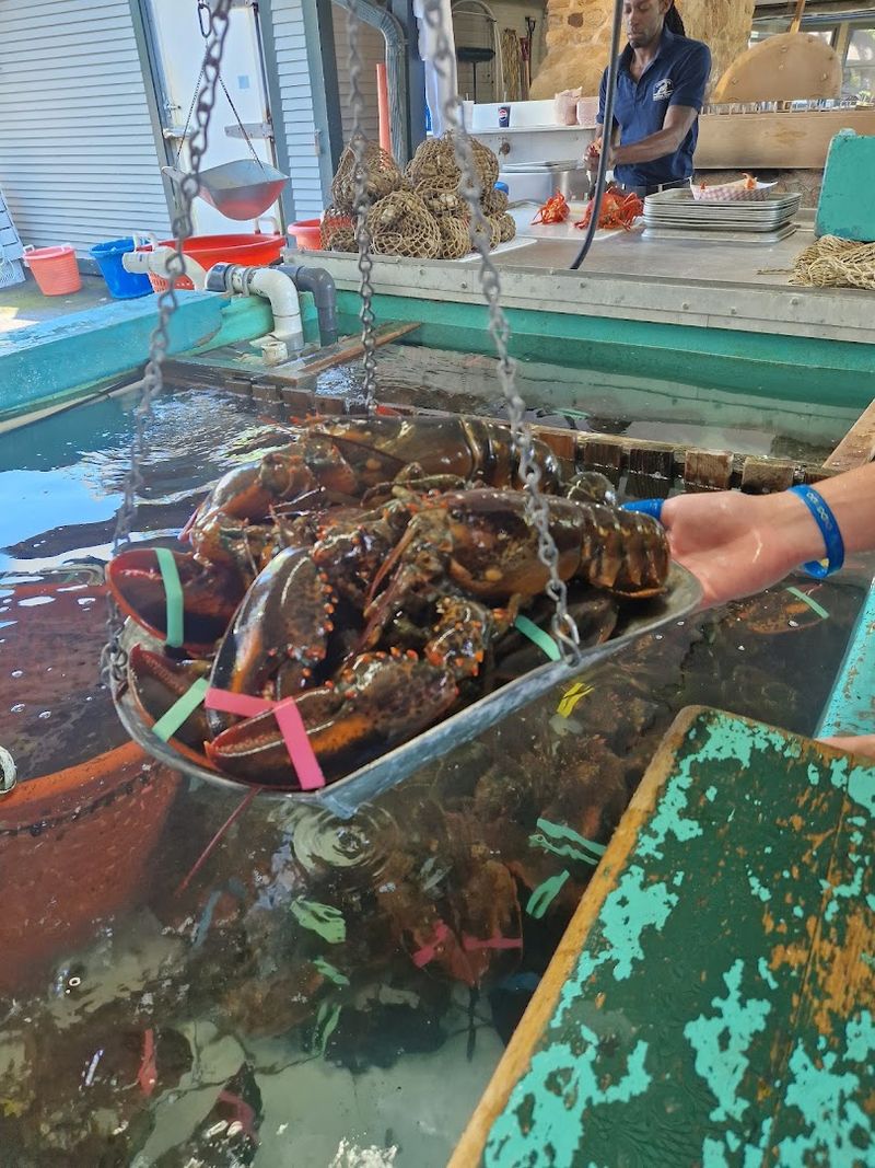Picking Your Own Live Lobster 
