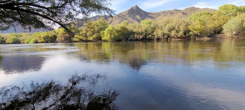 Photography And Wildlife Watching