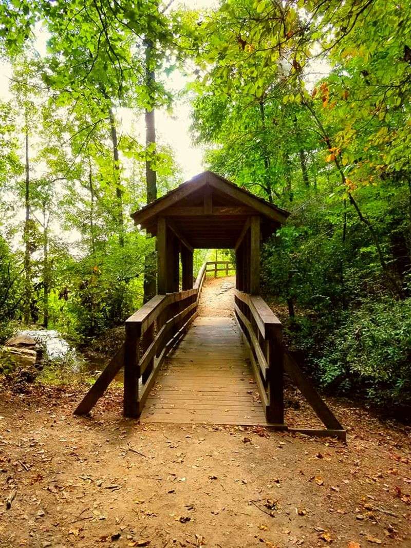 Picnic Areas And Family-Friendly Amenities