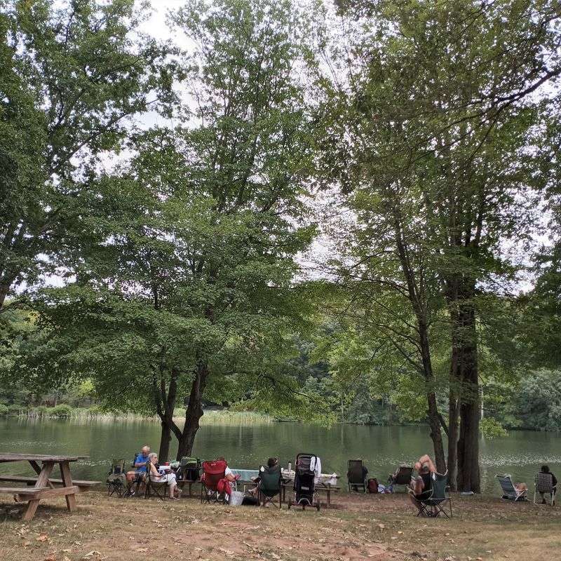 Picnic Areas And Group Events That Bring People Together