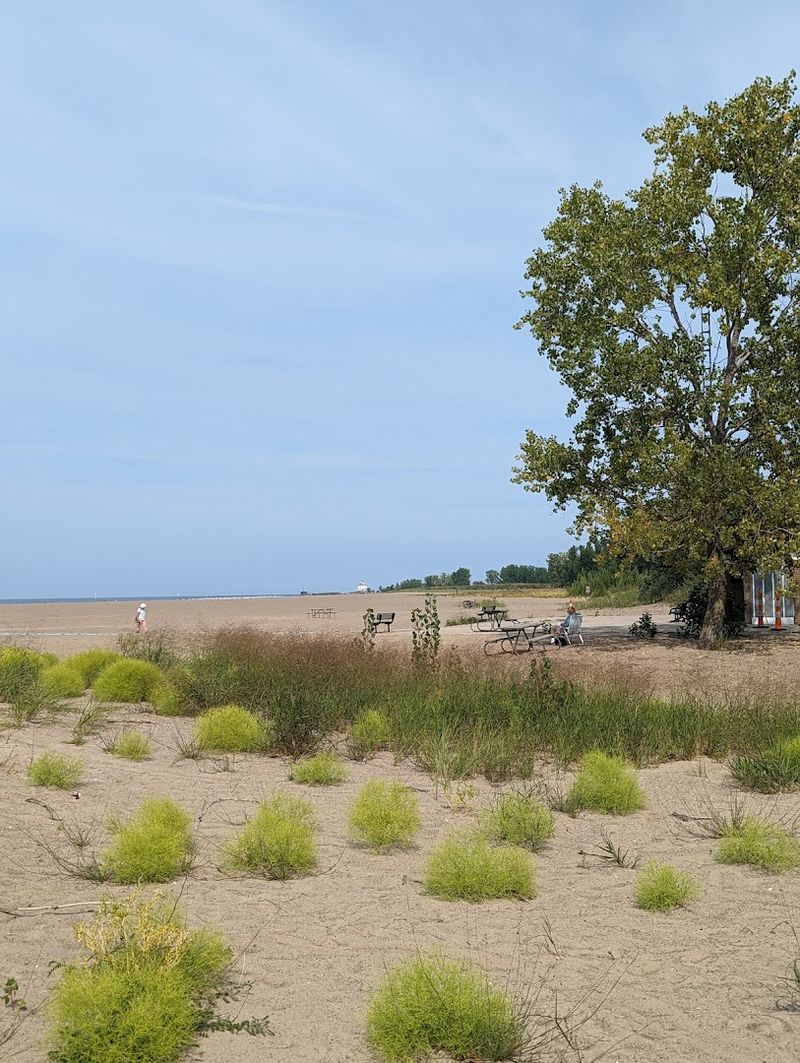 Picnic Areas And Shaded Spots Picnic Areas And Shaded Spots