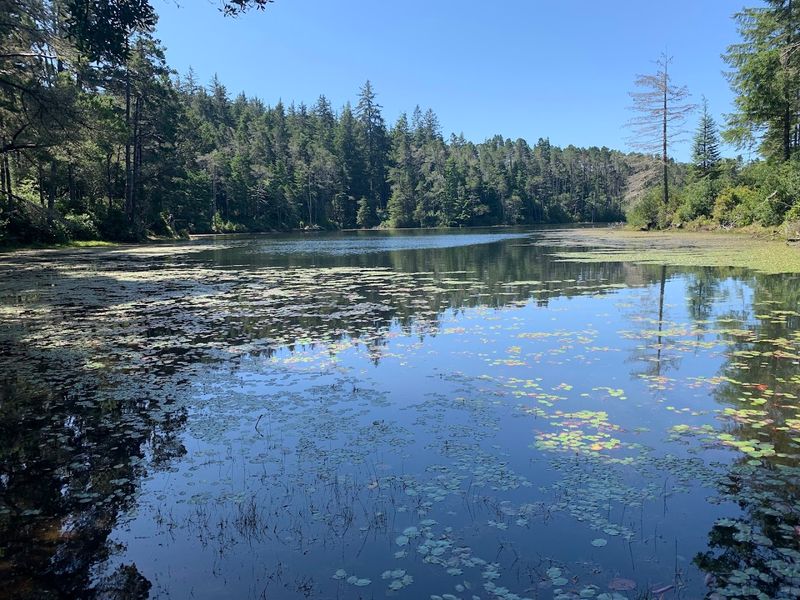 Wildlife And Nature Watching Along The Way