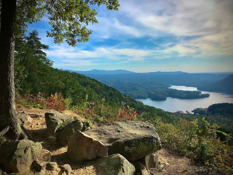 Picnic Areas With Views That Steal The Show