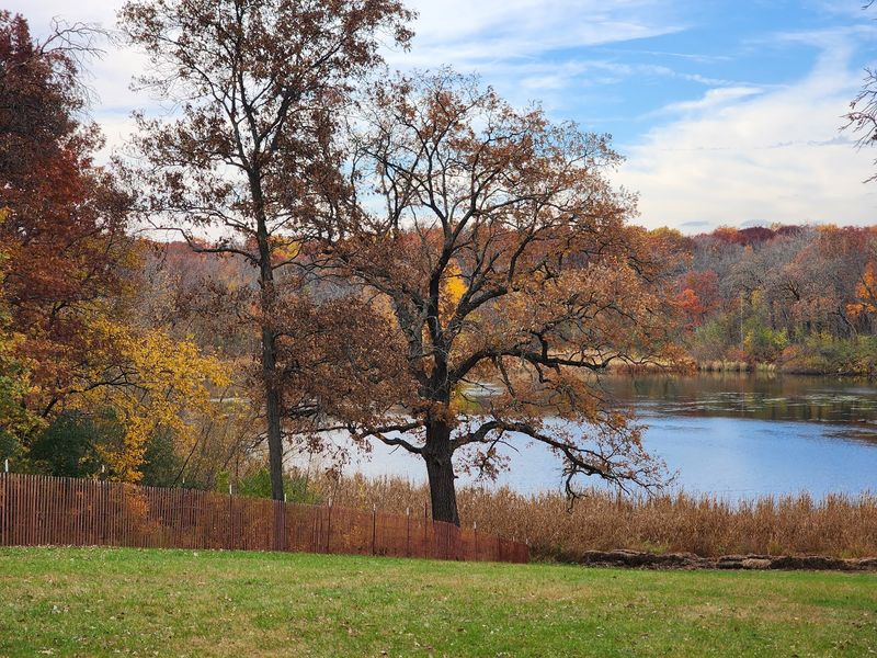 Picnic Groves, Sledding Hills, And Easy Family Outings