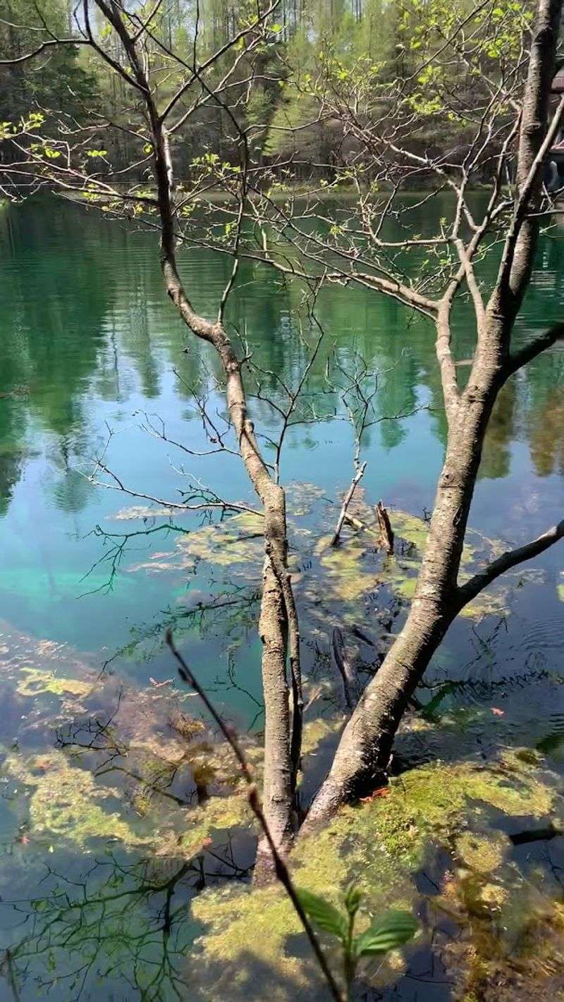 Name Stories And Deep Time