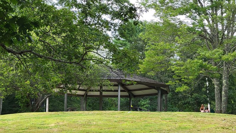 Picnic, Pause, Repeat Picnic, Pause, Repeat