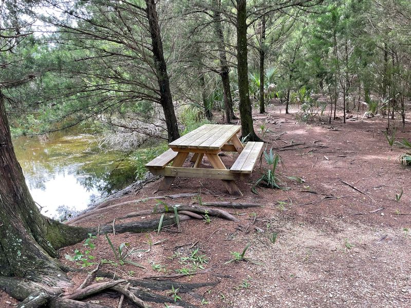 Picnic Pavilions And Grills Are Ready