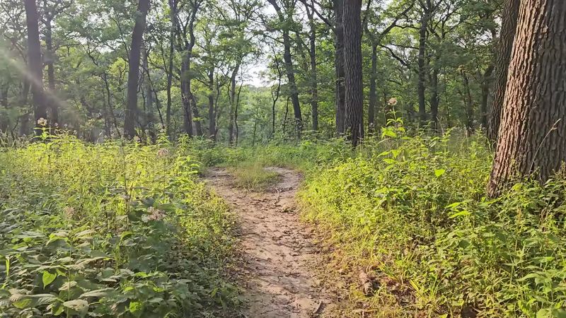 The Trails Challenge Without Overwhelming