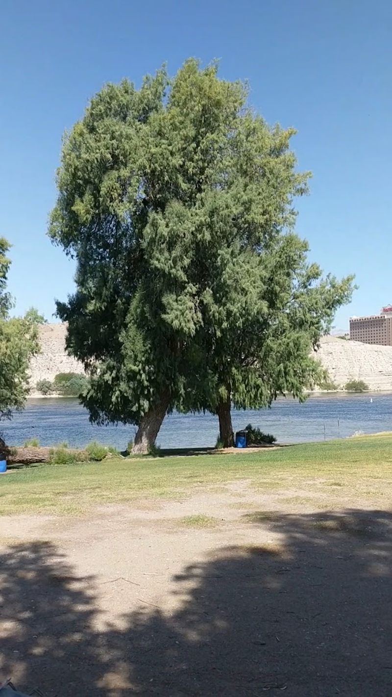 Picnic Ramadas And Family Gathering Spaces